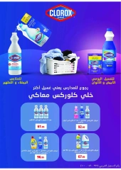 Page 39 in November Deals at Al Rayah Market Egypt