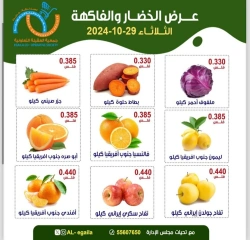 Page 3 in Vegetable and fruit offers at Alegaila co-op Kuwait