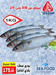 Page 5 in Seafood Deals at El Mahlawy market Egypt