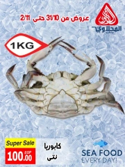 Page 4 in Seafood Deals at El Mahlawy market Egypt