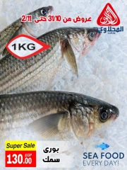 Page 6 in Seafood Deals at El Mahlawy market Egypt