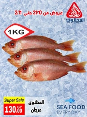 Page 7 in Seafood Deals at El Mahlawy market Egypt