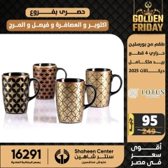 Página 17 en ofertas de viernes en Centro Shaheen Egipto