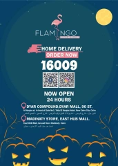 Página 63 en Ofertas de feliz Halloween en Hipermercado Flamingo Egipto