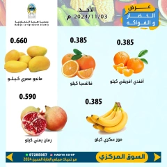 Page 3 in Vegetable and fruit offers at Hadiya co-op Kuwait