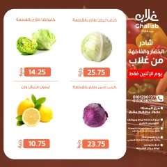 Page 10 in Monday offers chicken, vegetables and fruits at Ghallab Markets Egypt