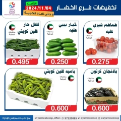 Página 2 en Ofertas de frutas y verduras en Cooperativa Yarmouk Kuwait