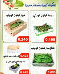 صفحة 2 ضمن عروض الخضار والفاكهة في جمعية ضاحية الظهر الكويت