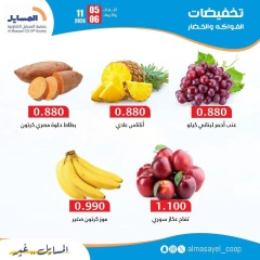 Page 2 in Vegetable and fruit offers at Al Masayel co-op Kuwait