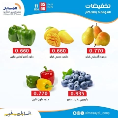 Page 5 in Vegetable and fruit offers at Al Masayel co-op Kuwait