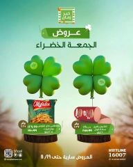 Page 1 in Green Friday Deals at Kheir Zaman Egypt