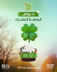 Page 3 in Green Friday Deals at Kheir Zaman Egypt