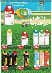 Page 13 in Anniversary offers at Galhom Market Egypt