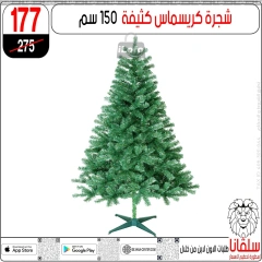 Page 8 in Christmas Offers at silvana center Egypt