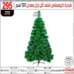 Page 9 in Christmas Offers at silvana center Egypt