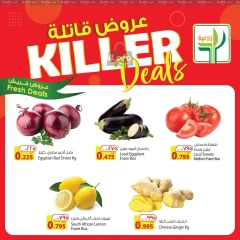 Page 1 in Killer Deals at Agricultural food Kuwait