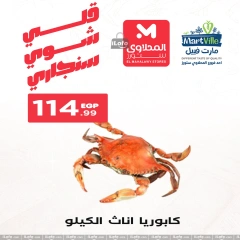 Page 17 in Seafood Deals at El Mahlawy Stores Egypt