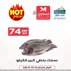 Page 3 in Seafood Deals at El Mahlawy Stores Egypt