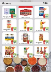 Página 25 en Ofertas de apertura en Mercado Seoudi Egipto