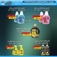 Page 33 in November Festival offers at Hadiya co-op Kuwait