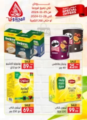 Page 13 in Special offers at El Mahlawy market Egypt