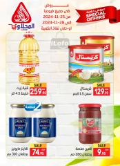 Page 11 in Special offers at El Mahlawy market Egypt