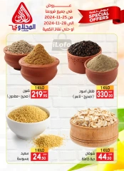 Page 10 in Special offers at El Mahlawy market Egypt