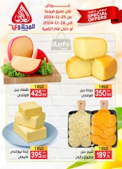 Page 8 in Special offers at El Mahlawy market Egypt