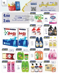 Page 14 in Saving Offers at Al Ayesh market Kuwait