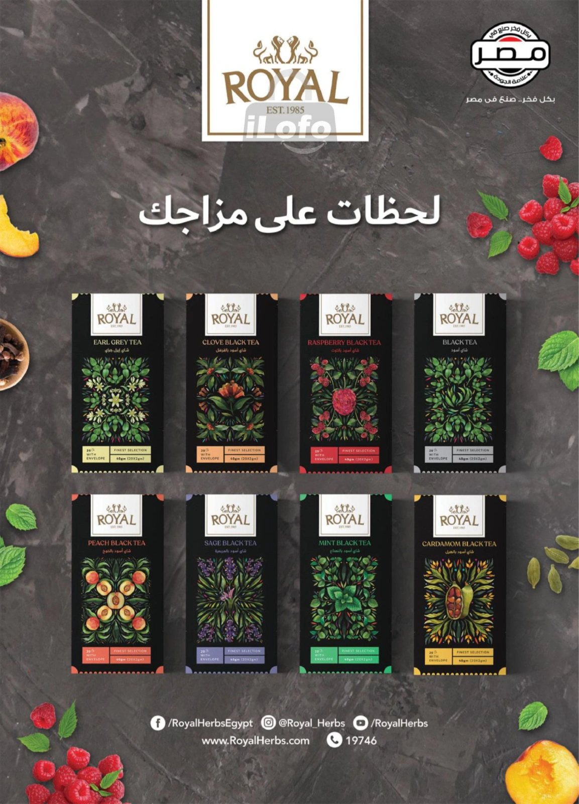 Page 16 in White Friday Deals at Al Rayah Market Egypt