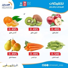 Page 2 in Vegetable and fruit offers at Al Masayel co-op Kuwait