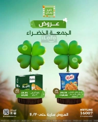 Page 2 in Green Friday Deals at Kheir Zaman Egypt