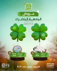 Page 3 in Green Friday Deals at Kheir Zaman Egypt