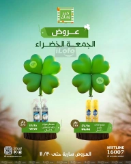 Page 10 in Green Friday Deals at Kheir Zaman Egypt