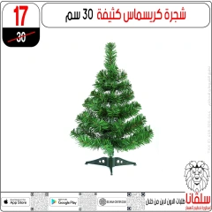 Page 13 in Christmas Offers at silvana center Egypt