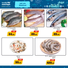 Página 8 en Ofertas de invierno en Awlad Ragab Egipto