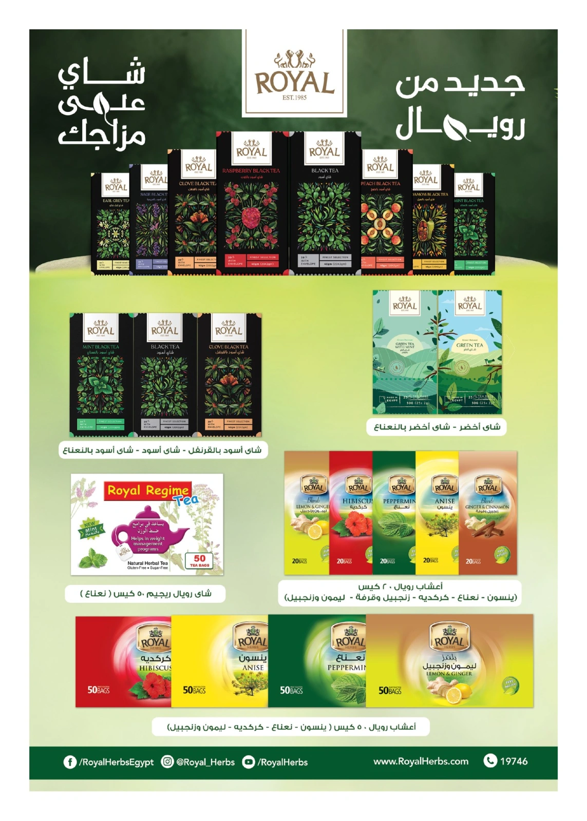 Page 14 |Offres du vendredi EN Hyperone Egypte