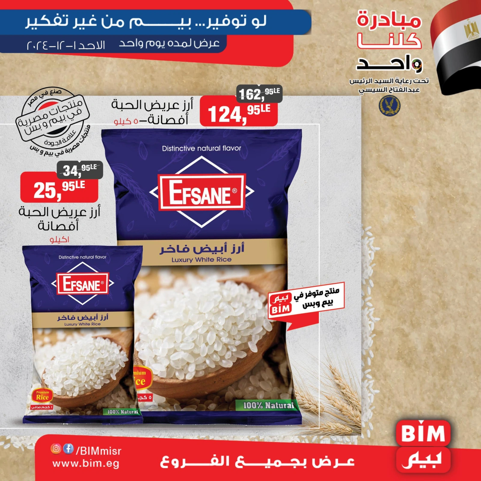 Page 1 |Offres d'un jour EN Marché du BIM Egypte