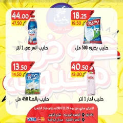 Página 2 en ofertas locas en Mercado de Bondok Egipto