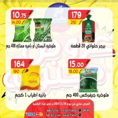 Página 11 en ofertas locas en Mercado de Bondok Egipto