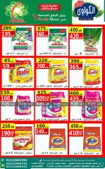 Página 2 en Ofertas de detergentes en Mercado Al-Kawawi Egipto