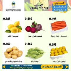 Page 4 in Vegetable and fruit offers at Hadiya co-op Kuwait