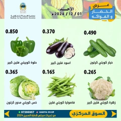 Page 2 in Vegetable and fruit offers at Hadiya co-op Kuwait