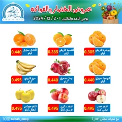 Page 3 in Vegetable and fruit offers at Sabah Al Ahmad co-op Kuwait