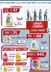 Page 18 in winter offers at koketa Market Egypt