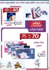 Page 2 in winter offers at koketa Market Egypt