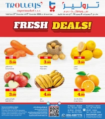 Page 1 in Fresh deals at Trolleys supermarket UAE