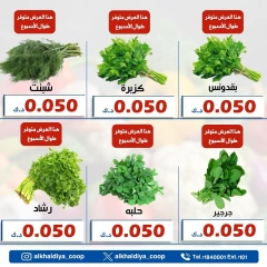 Página 10 en Ofertas de frutas y verduras en Cooperativa Al Khalidiya Kuwait