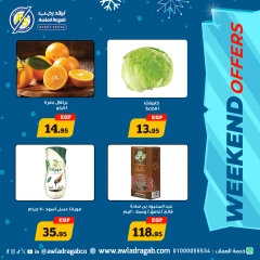 Página 4 en Ofertas de fin de semana en Awlad Ragab Egipto