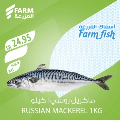 Page 4 dans Offres de poisson chez Marché Farm Arabie Saoudite